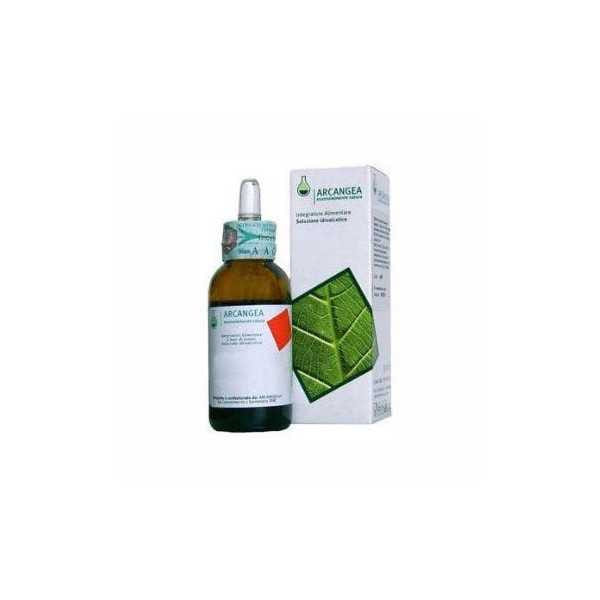 BETULA VERRUCOSA BIO GEMME 33 GRADI GEMMODERIVATO 50 ML