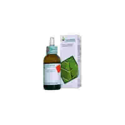 BETULA VERRUCOSA BIO GEMME 33 GRADI GEMMODERIVATO 50 ML