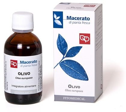 Olivo Tintura Madre 50 Ml Bio