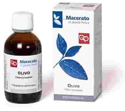 OLIVO TINTURA MADRE 50 ML BIO