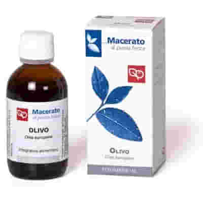 OLIVO TINTURA MADRE 50 ML BIO