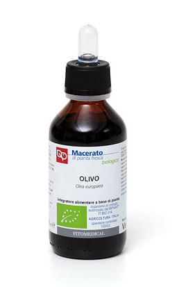 Olivo Tintura Madre 100 Ml Bio