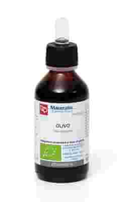 OLIVO TINTURA MADRE 100 ML BIO