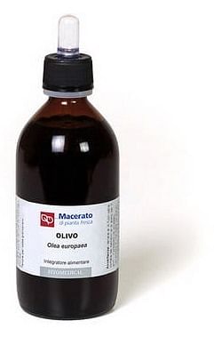 Olivo Tintura Madre 200 Ml Bio