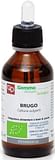 BRUGO MACERATO GLICERICO 100 ML BIO