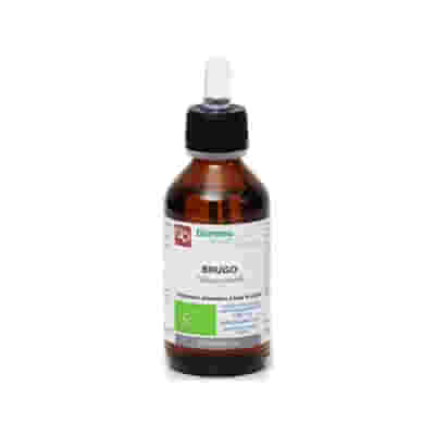 BRUGO MACERATO GLICERICO 100 ML BIO