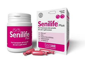 Senilife Plus 60 Capsule