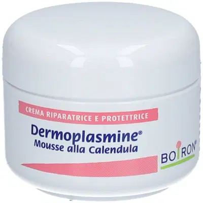 DERMOPLASMINE MOUSSE 20 G DERMOPLASMINE MOUSSE 20 G