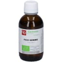 FICO MACERATO GLICERICO 50 ML BIO