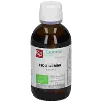FICO MACERATO GLICERICO 50 ML BIO
