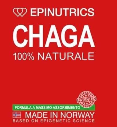 Epinutrics Epi Chaga 60 Capsule