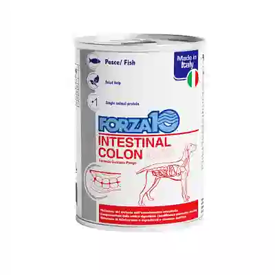 FORZA 10 INTESTINAL COLON CANE 390 G