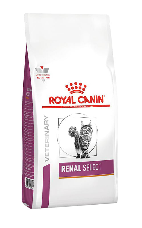 Veterinary Health Nutrition Cat Renal Select 400 G