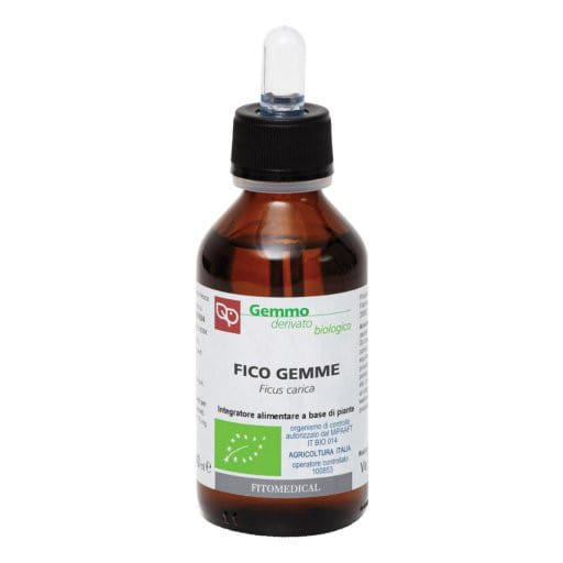 FICO MACERATO GLICERICO 100 ML BIO