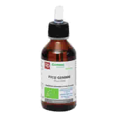 FICO MACERATO GLICERICO 100 ML BIO