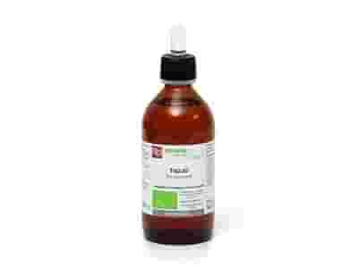 TIGLIO MACERATO GLICERICO 200 ML BIO