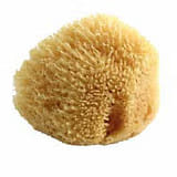 POUPY SPUGNA NATURALE DI MARE