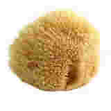 POUPY SPUGNA NATURALE DI MARE