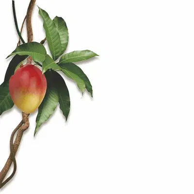 KLORANE BALSAMO AL MANGO 200 ML KLORANE BALSAMO AL MANGO 200 ML