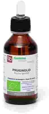 PRUGNOLO MACERATO GLICERICO 100 ML BIO