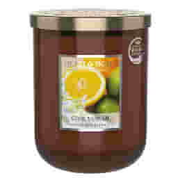 INCONTRO DI AGRUMI CANDLE 115 G