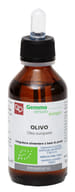 OLIVO MACERATO GLICERICO 100 ML BIO