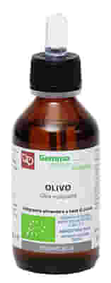 OLIVO MACERATO GLICERICO 100 ML BIO