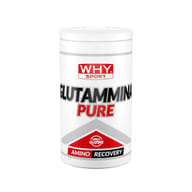 WHYSPORT GLUTAMMINA PURE 500 G