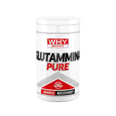 WHYSPORT GLUTAMMINA PURE 500 G