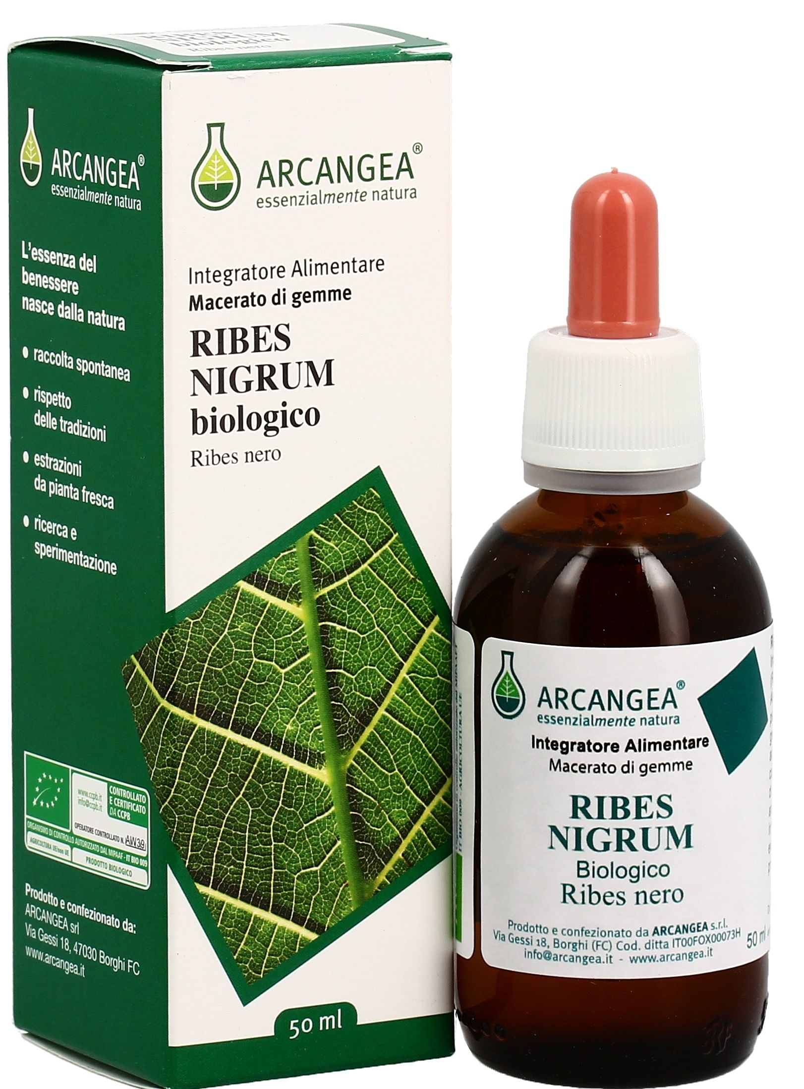 Ribes Nigrum Gemmoderivato 33 Bio 100 Ml