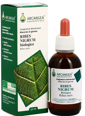 RIBES NIGRUM GEMMODERIVATO 33 BIO 100 ML RIBES NIGRUM GEMMODERIVATO 33 BIO 100 ML