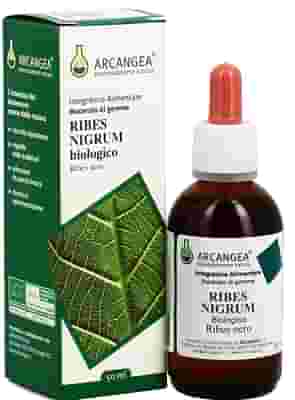 RIBES NIGRUM GEMMODERIVATO 33 BIO 100 ML
