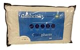 GUANCIALE FISIOPHARM SAP MEMORY