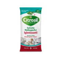 CITROSIL SALVIETTE IGIENIZZANTI EUCALIPTO 40 PEZZI