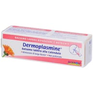 DERMOPLASMINE BALSAMO LABBRA RIPARATORE E NUTRIENTE 10 G