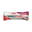 WHYSPORT ENERGY FUEL FRUTTI DI BOSCO 30 G
