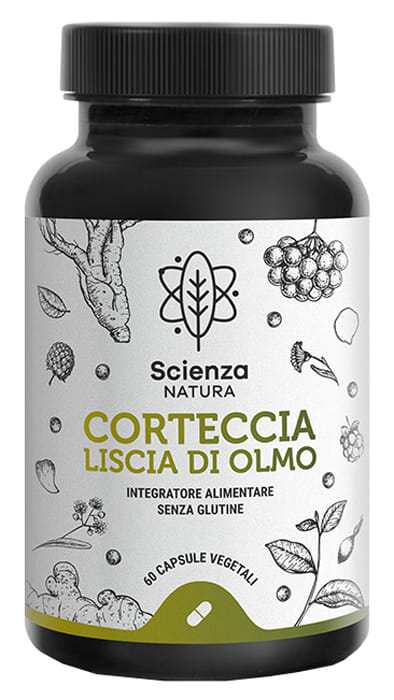 CORTECCIA LISCIA DI OLMO 60 CAPSULE