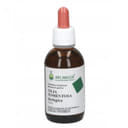 TILIA TOMENTOSA GEMMODERIVATO 33 BIO 100 ML