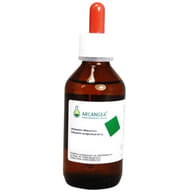 RIBES NIGRUM CIRCULATUM GEMMODERIVATO 33 BIO 100 ML