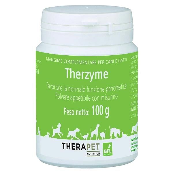 Therzyme Polvere 100 G