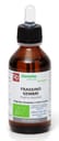 FRASSINO MACERATO GLICERICO 100 ML BIO