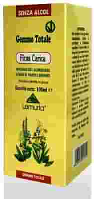FICUS CARICA 100 ML