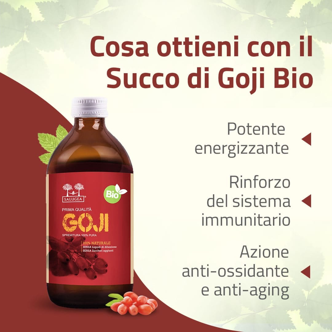 SALUGEA SUCCO GOJI BIO 500 ML