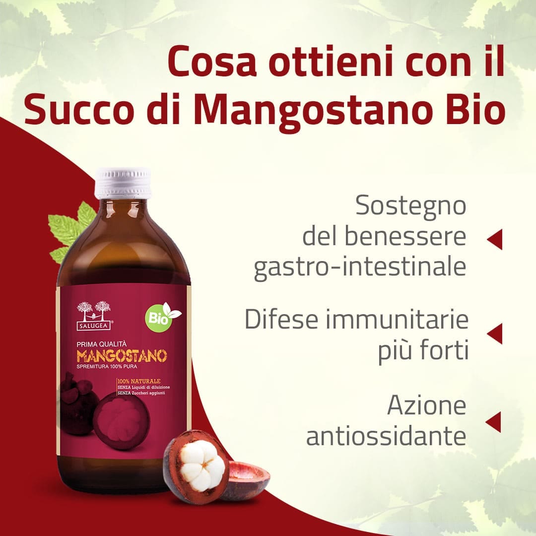SALUGEA SUCCO MANGOSTANO BIO 500 ML