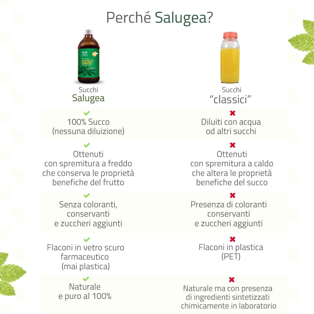 SALUGEA SUCCO OLIVELLO BIO 500 ML