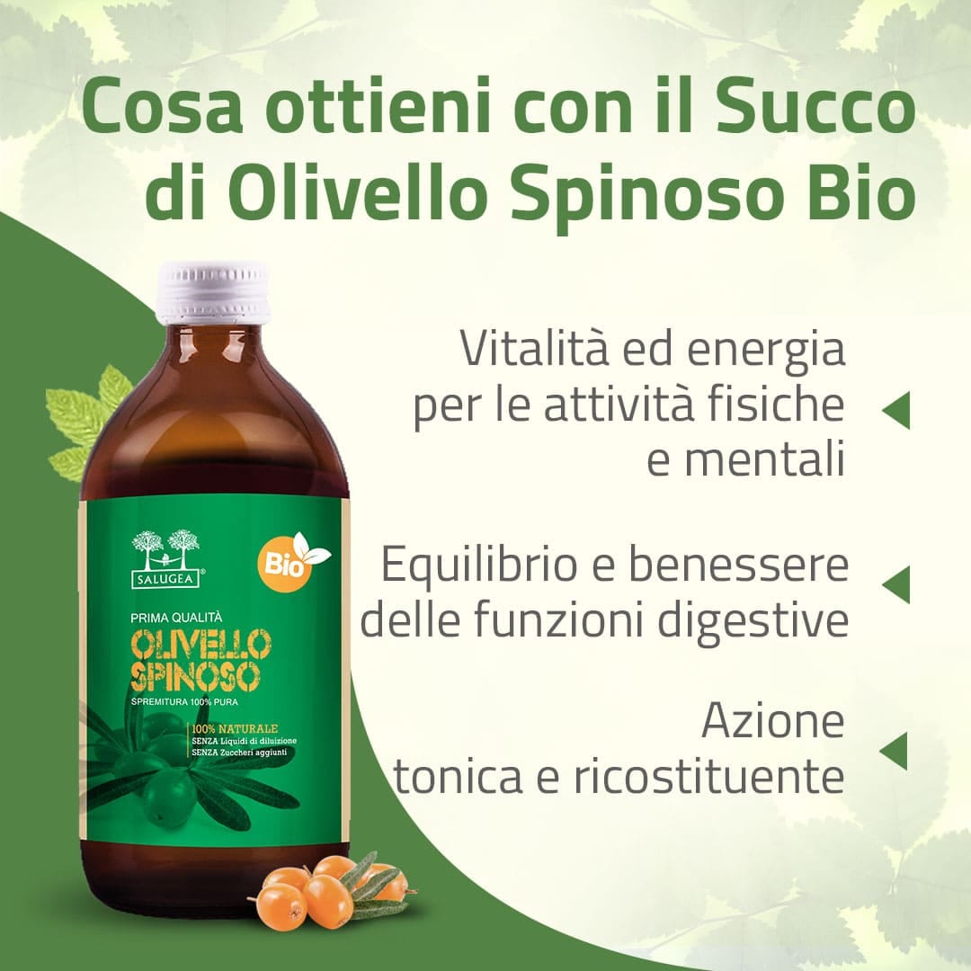 SALUGEA SUCCO OLIVELLO BIO 500 ML