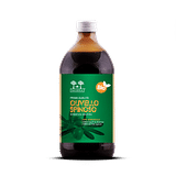 SALUGEA SUCCO OLIVELLO BIO 500 ML