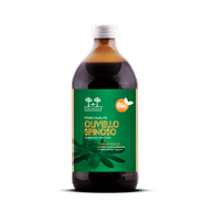 SALUGEA SUCCO OLIVELLO BIO 500 ML