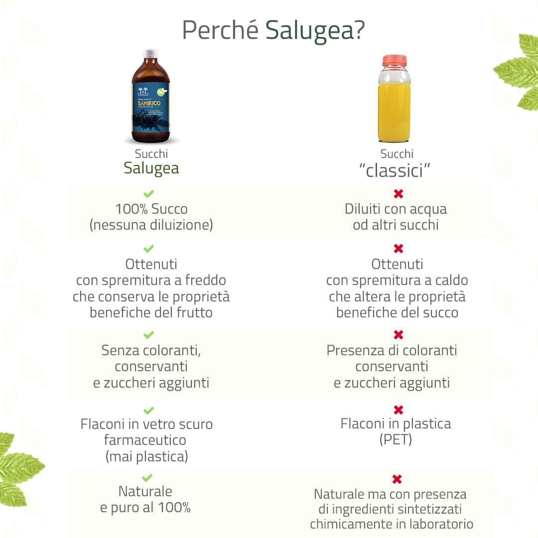 SALUGEA SUCCO SAMBUCO BIO 500 ML