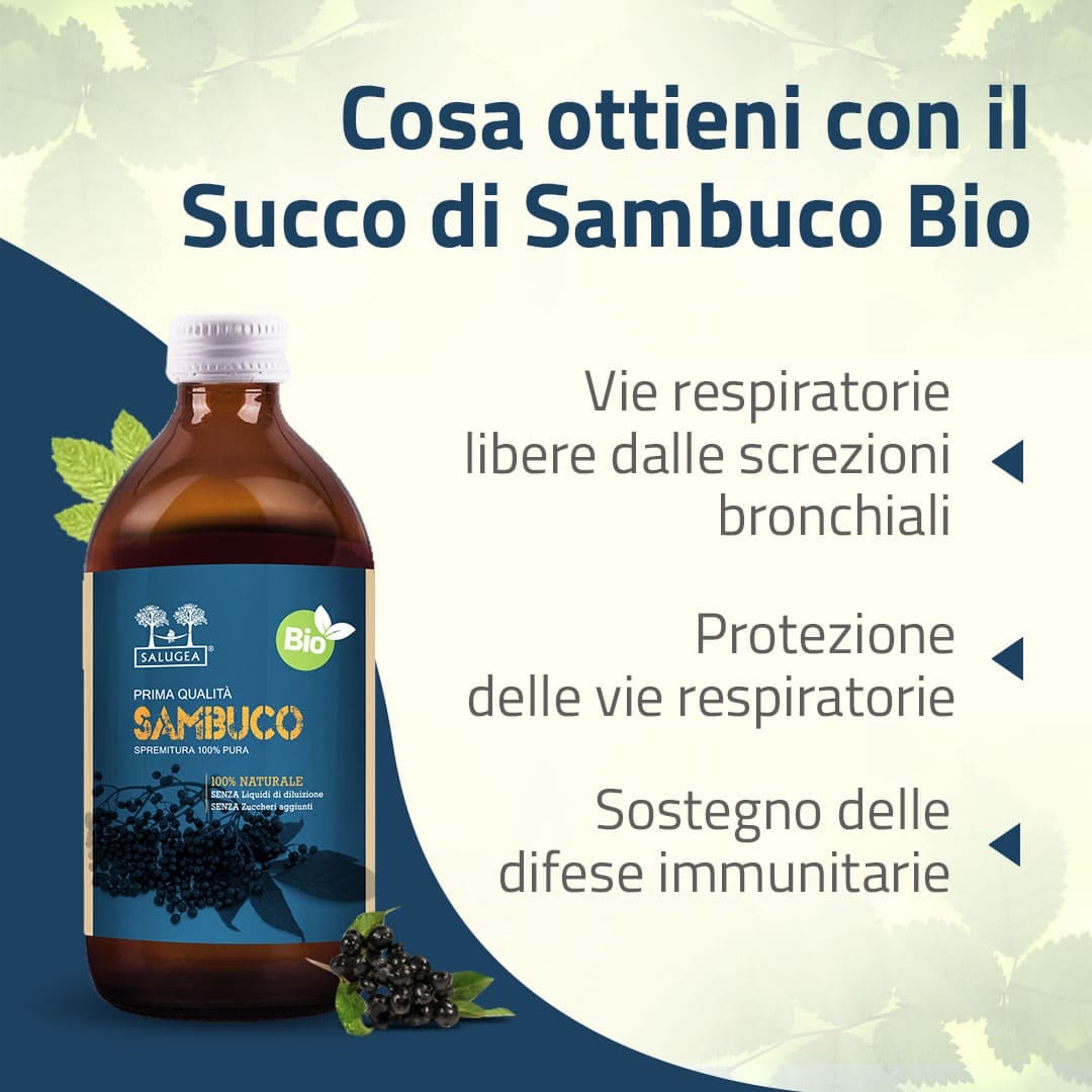 SALUGEA SUCCO SAMBUCO BIO 500 ML